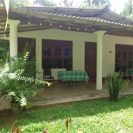 Green Valley Home Stay 탈페 외부 사진