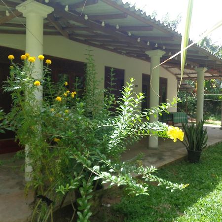 Green Valley Home Stay 탈페 외부 사진