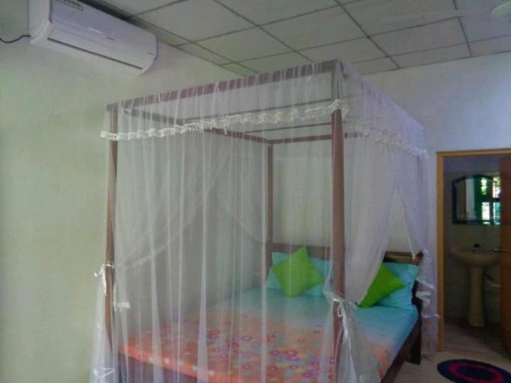 Green Valley Home Stay 탈페 외부 사진